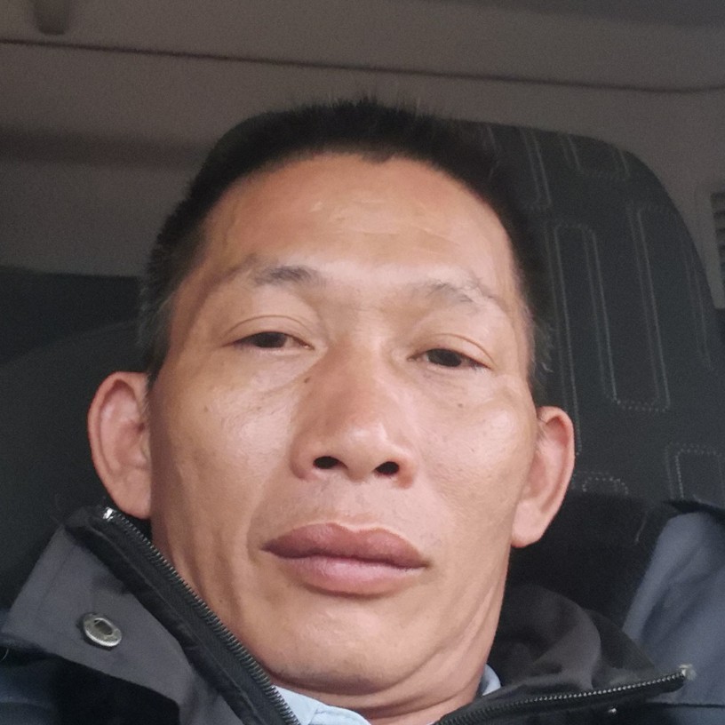 大漠牧羊的照片