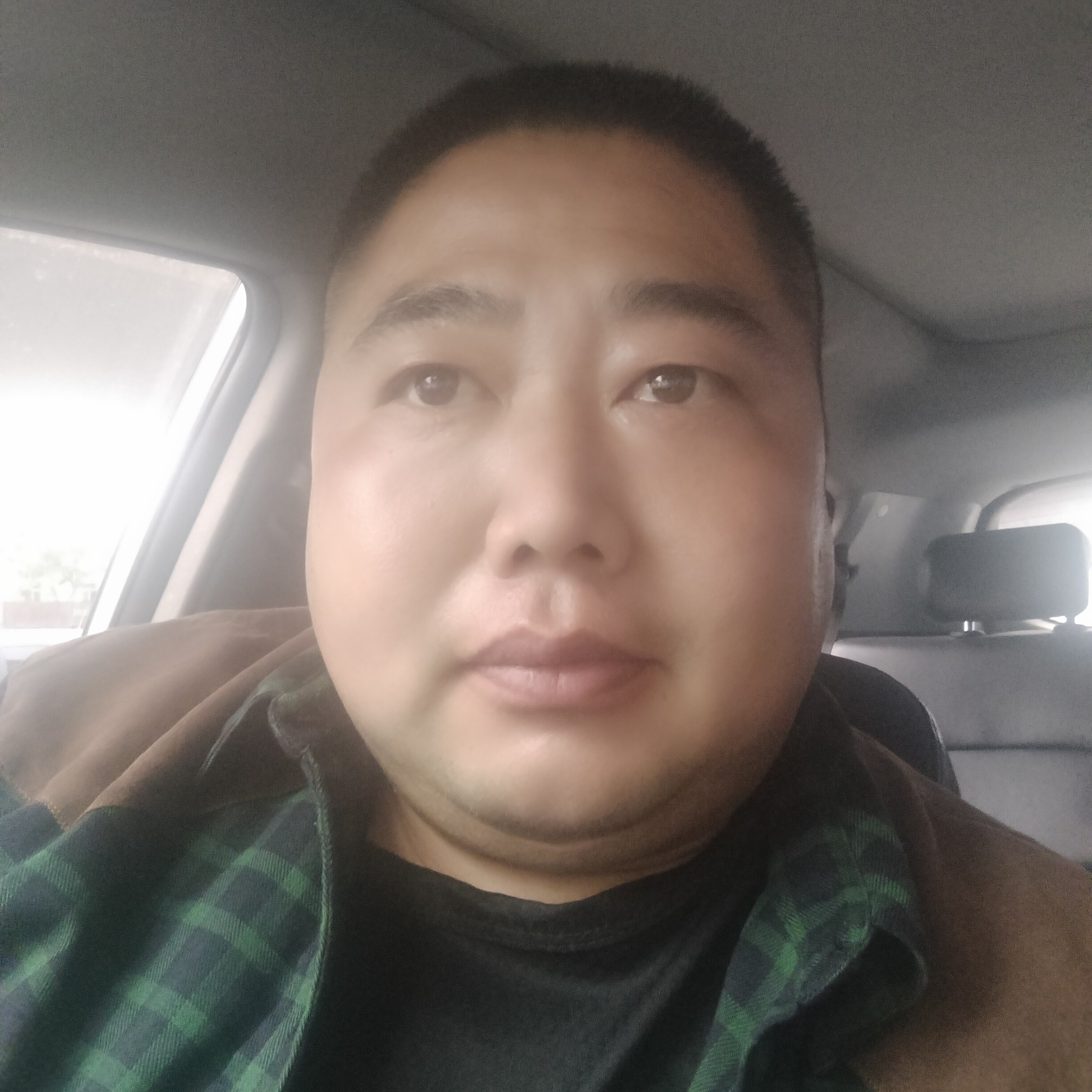 威武向大地的照片