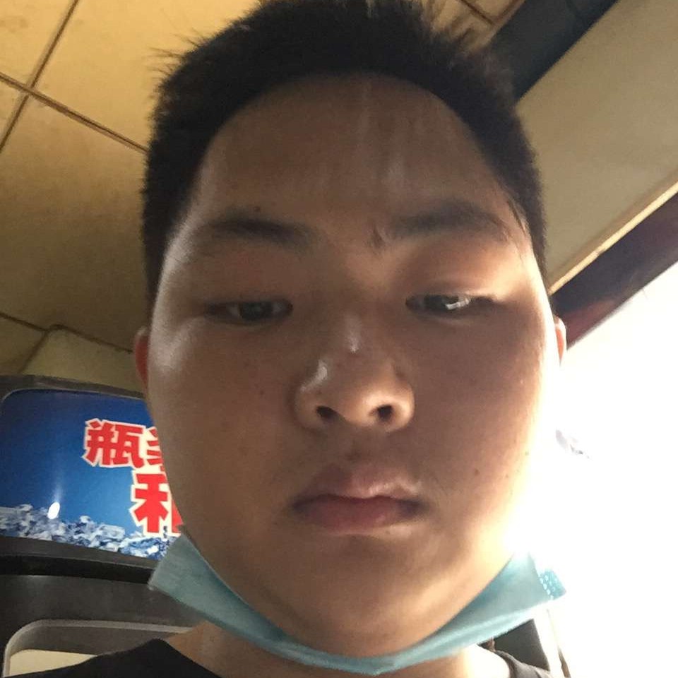 奔跑的狍子的照片