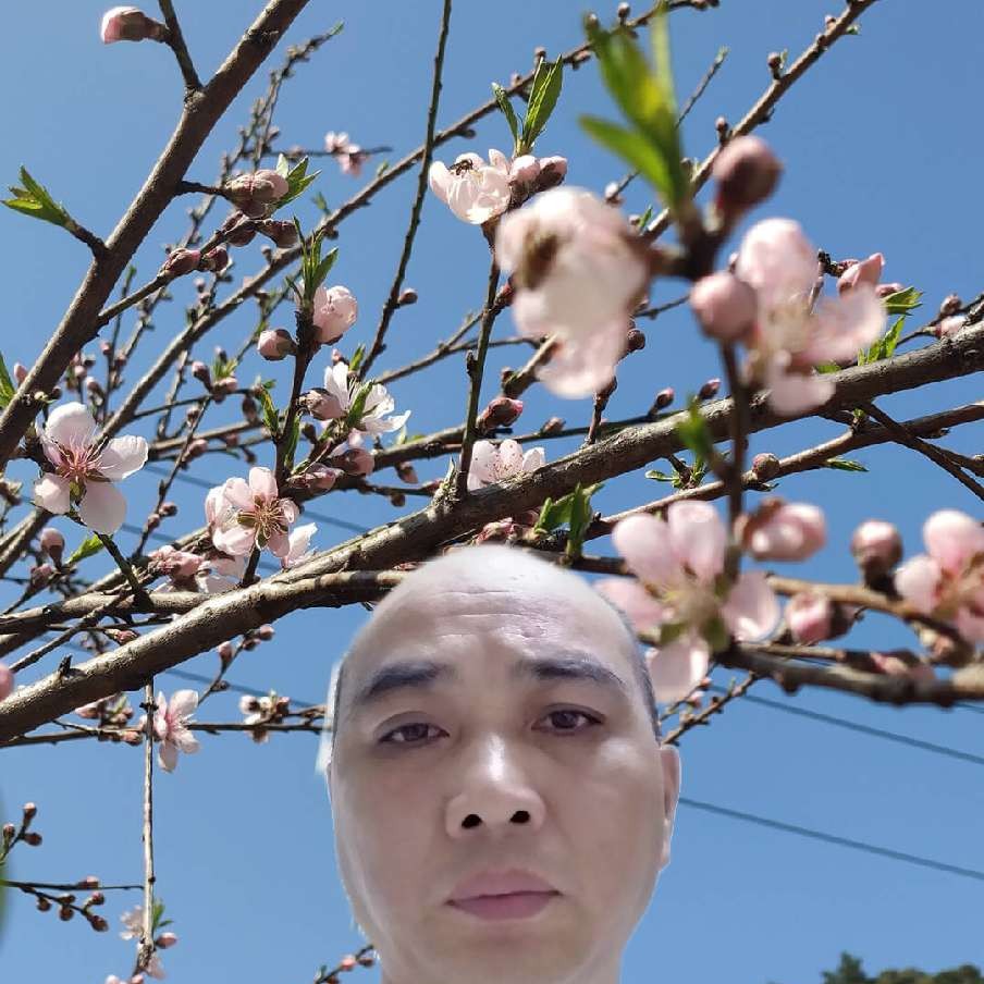 动听深拥母鸡的照片