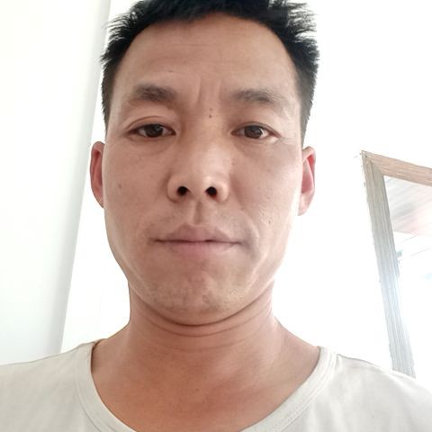 迷茫向黑猫的照片
