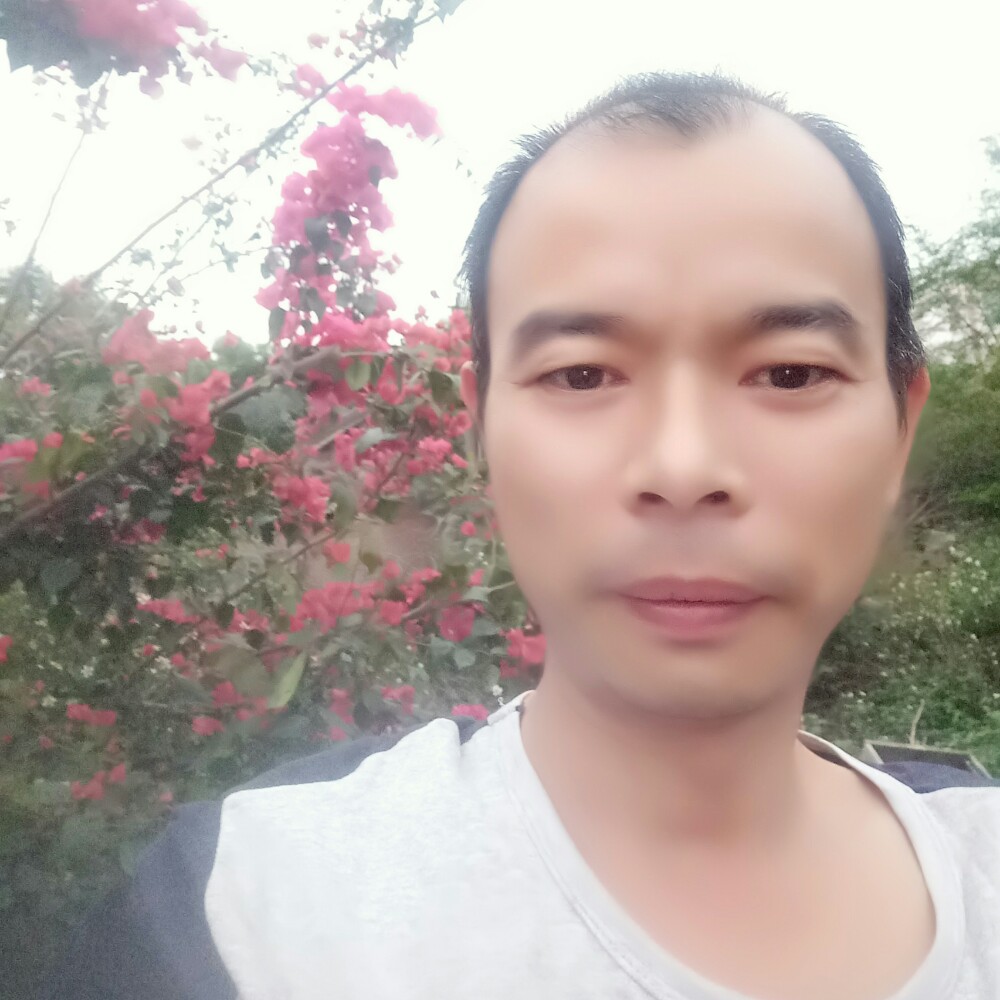12笑看江湖的照片