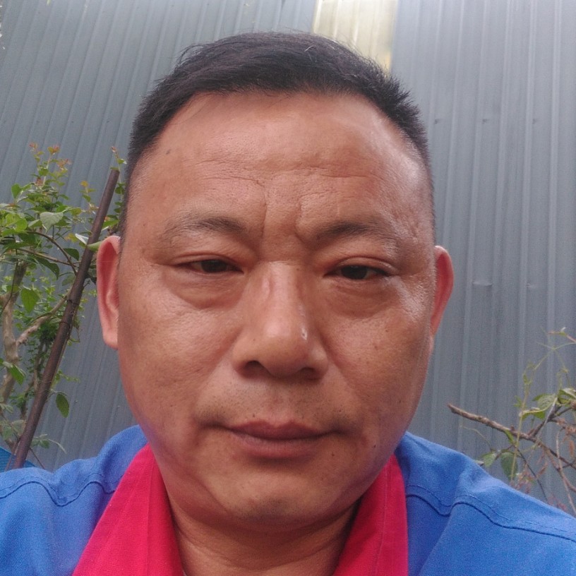 我要去南方的照片