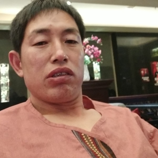蝶舞用动听的照片