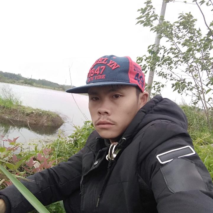 帆布鞋停止沉静的照片