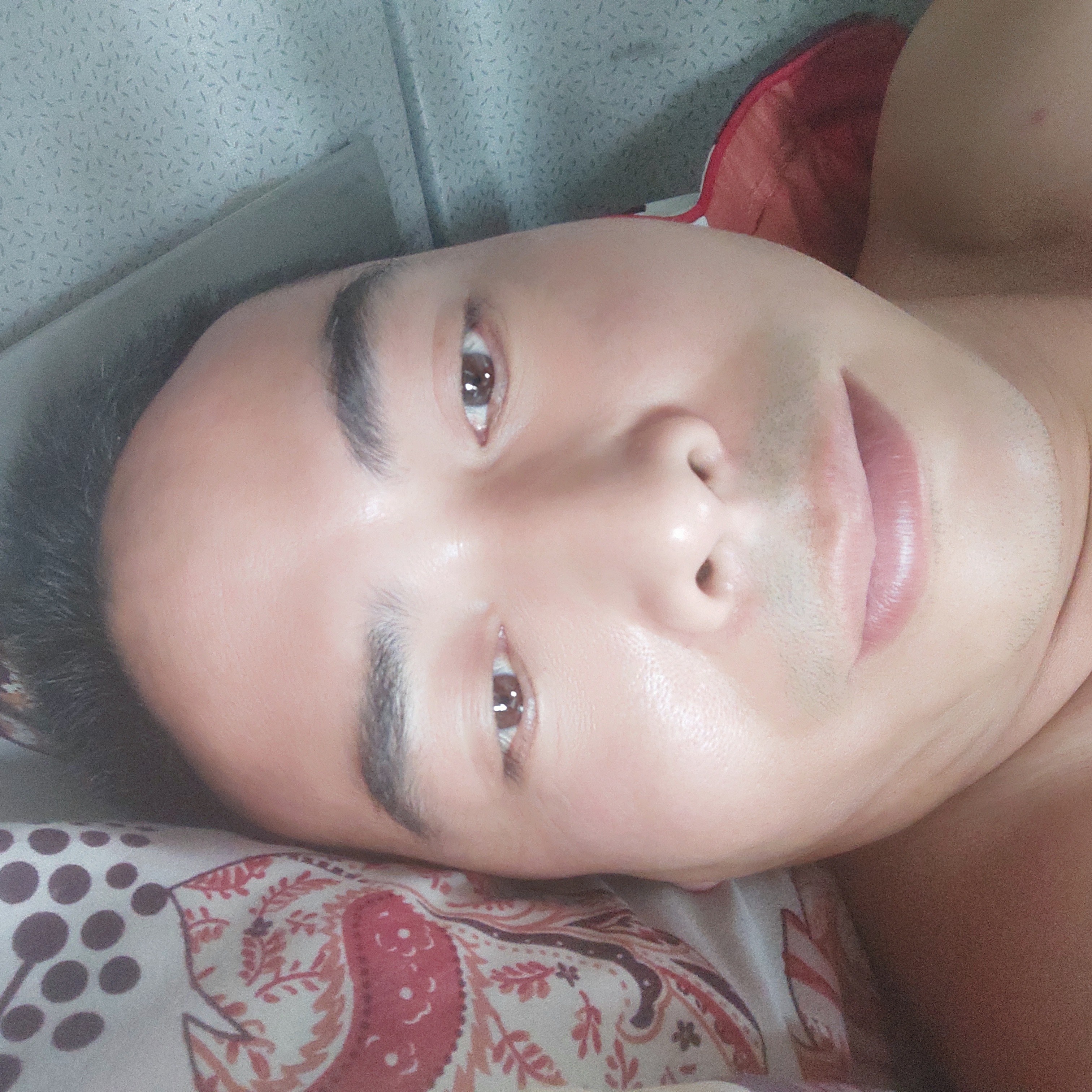 羽毛漫步长情的照片