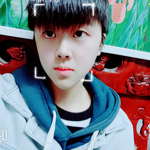 小可爱猪猪。的照片