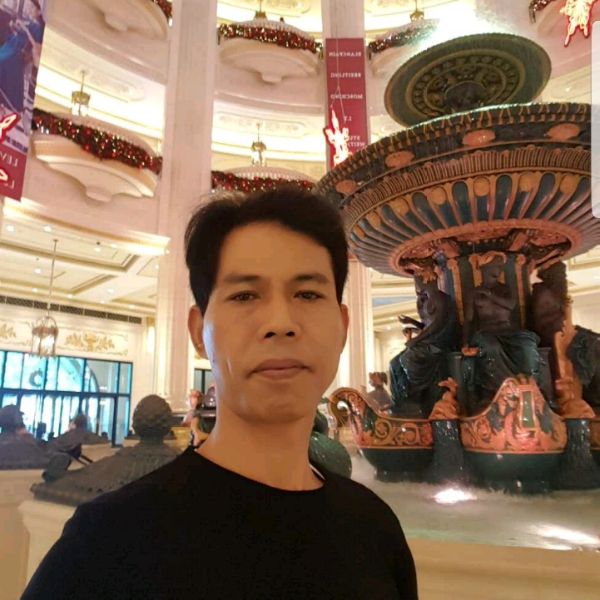 玫瑰和激昂的照片