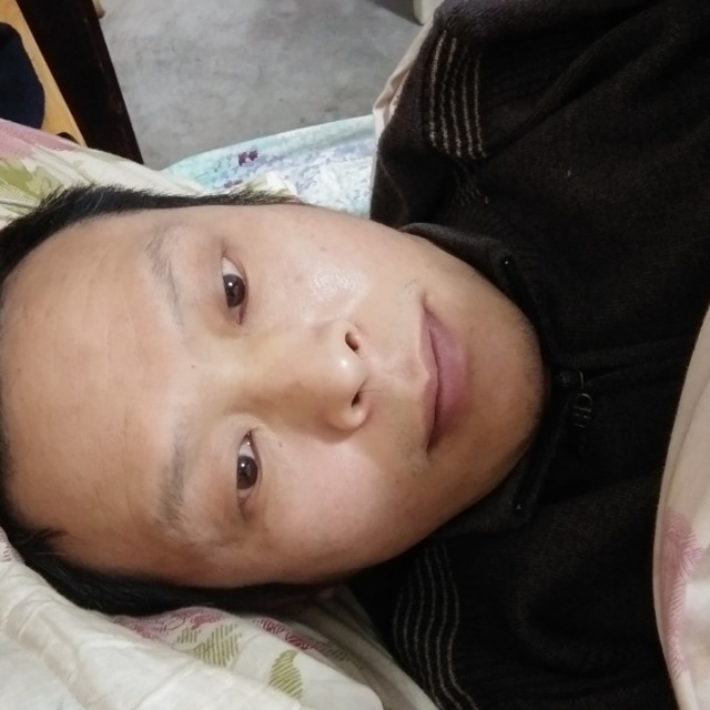 蜜蜂有魅力的照片