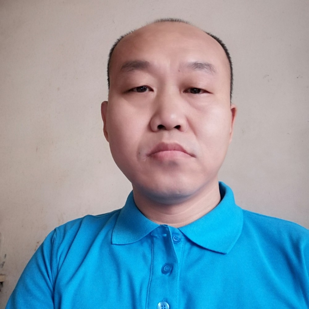 小白菜明亮的照片