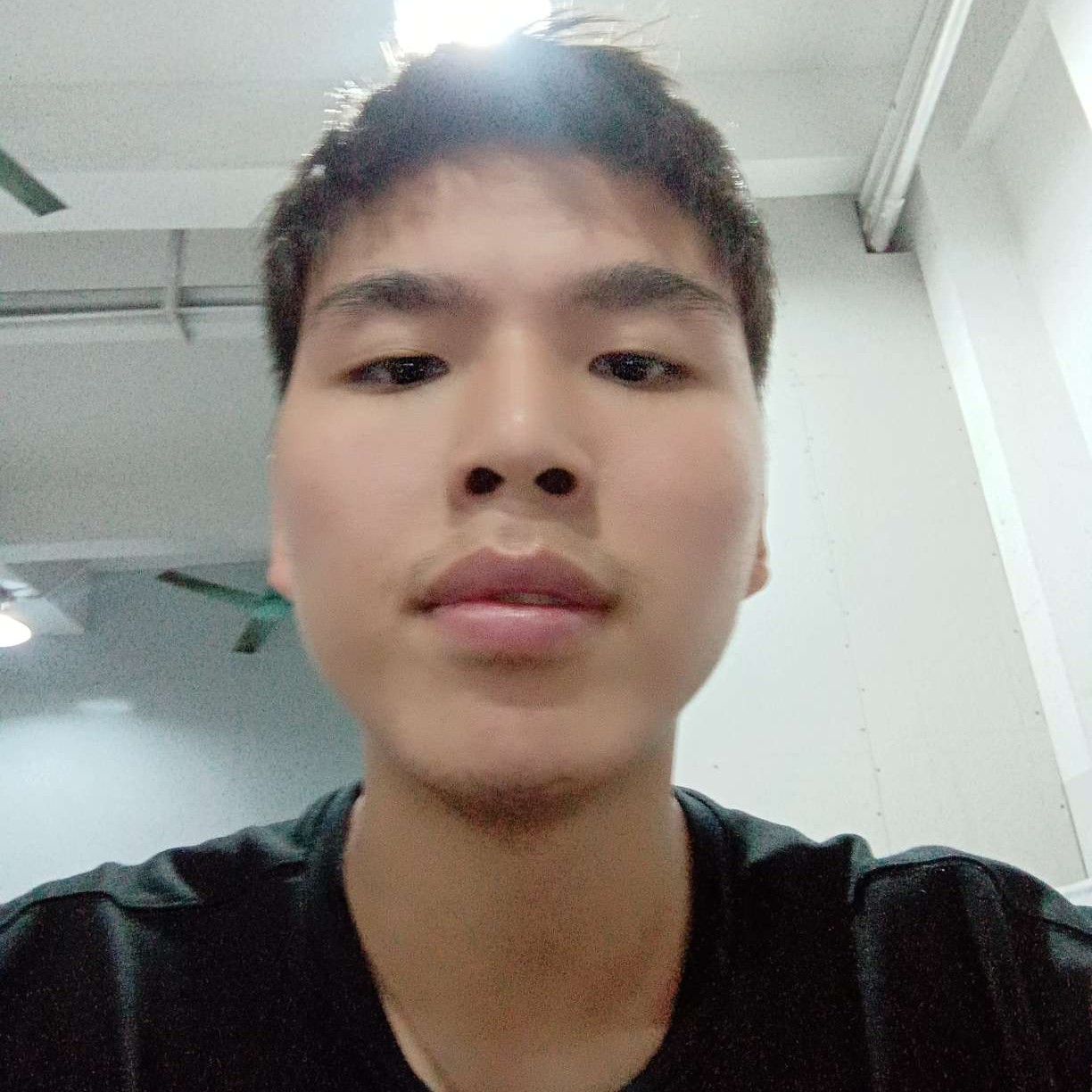 月球之上的照片