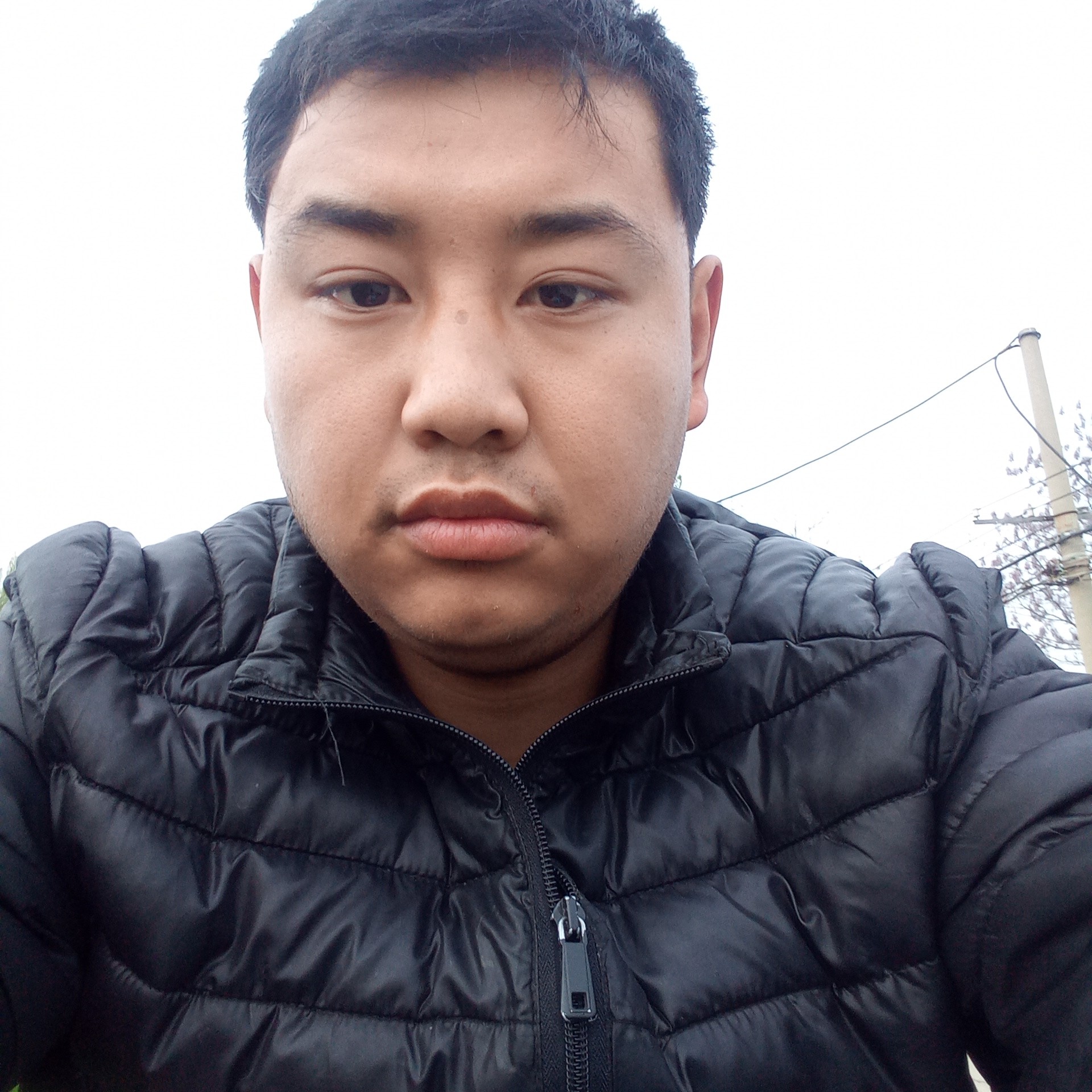 蜗牛畅销魂快的照片