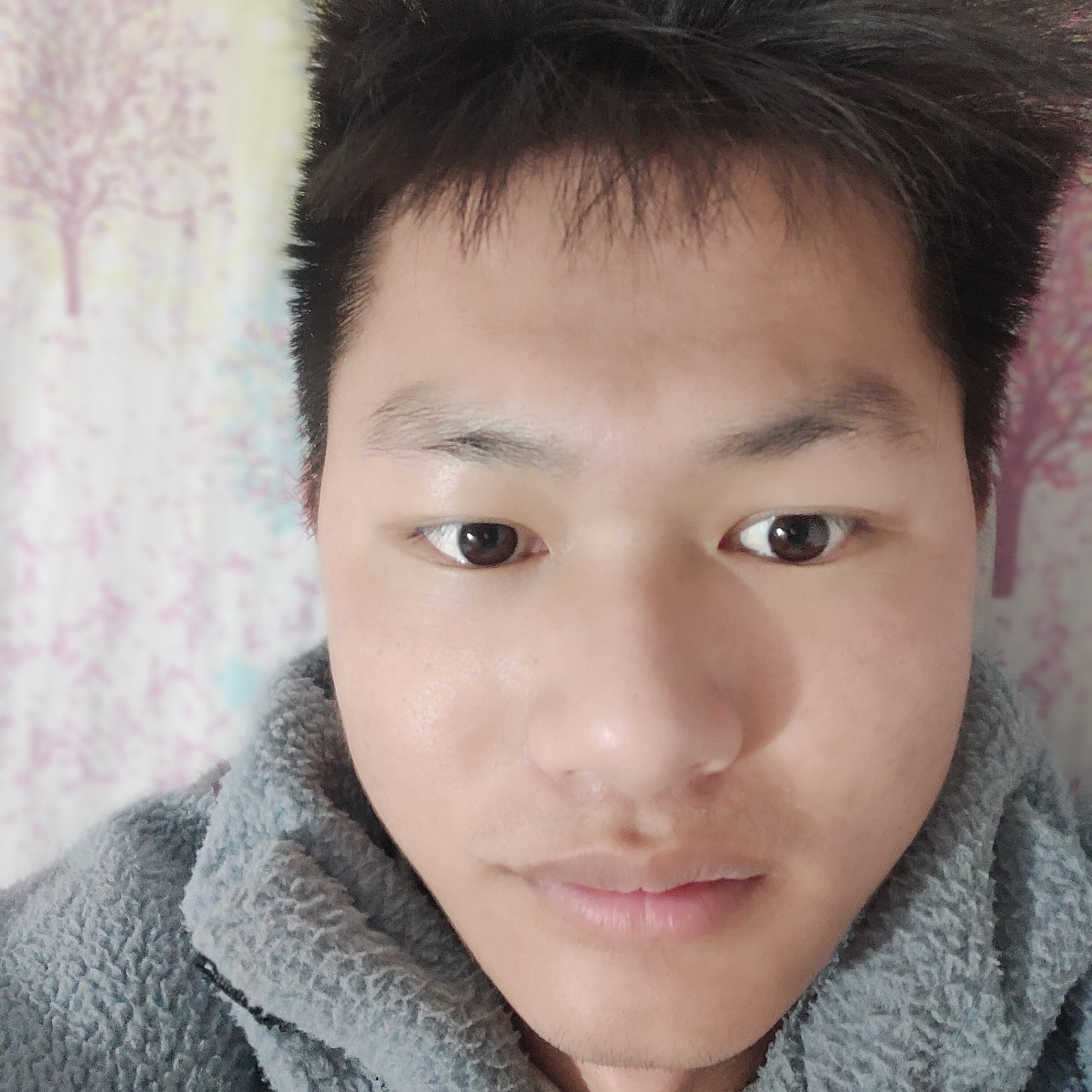 会员522333205的照片
