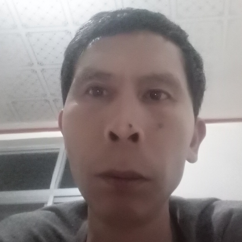 年轻龙猫的照片