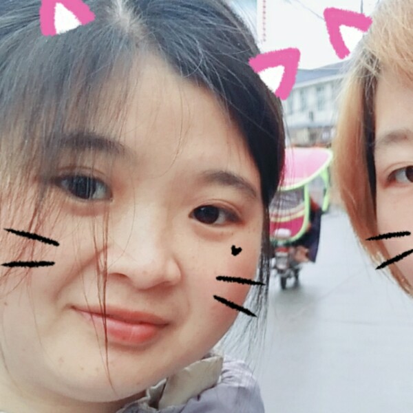 超级小奶猫的照片