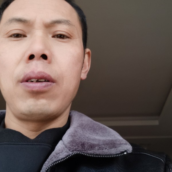 听话蹁跹长颈鹿的照片