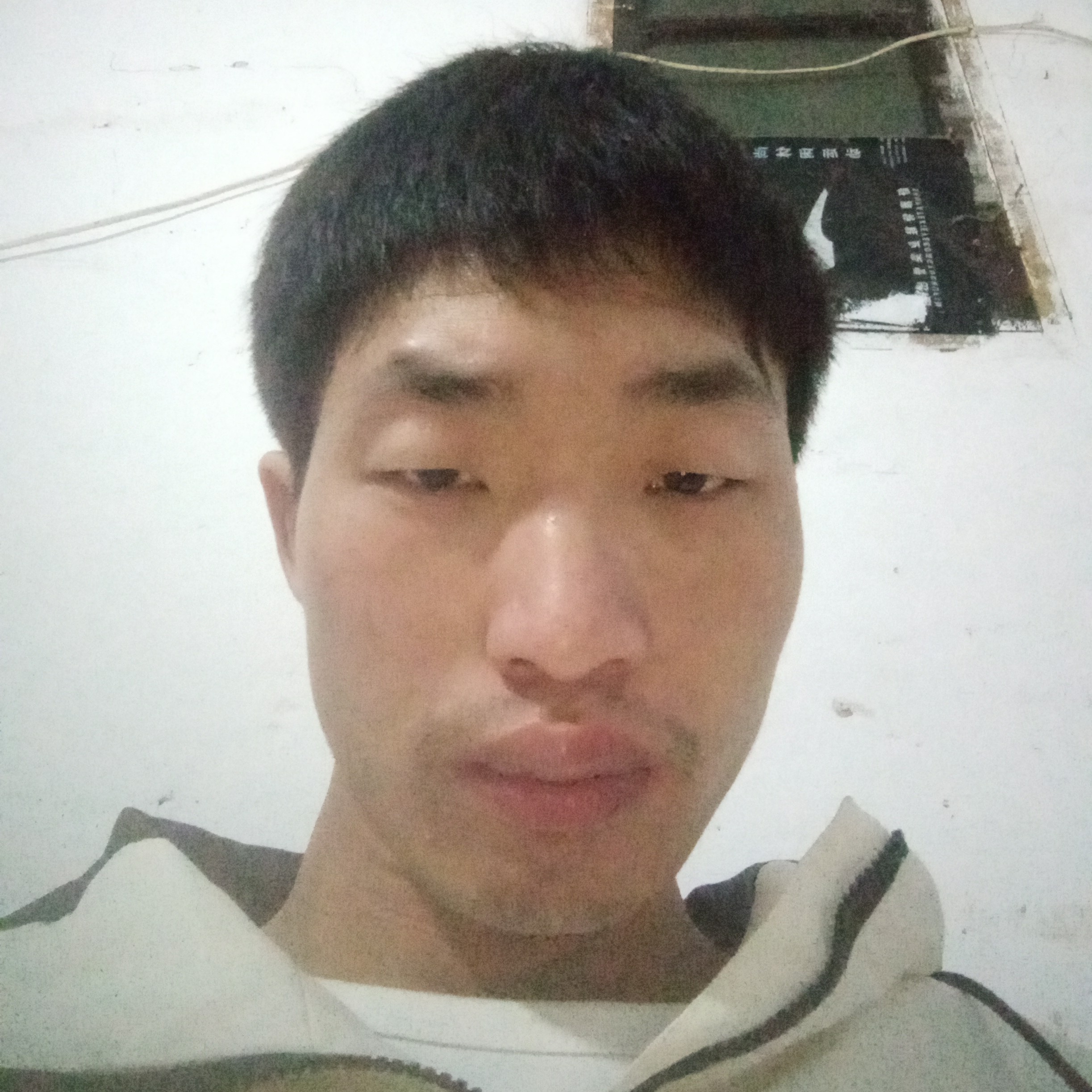 太阳就强健的照片