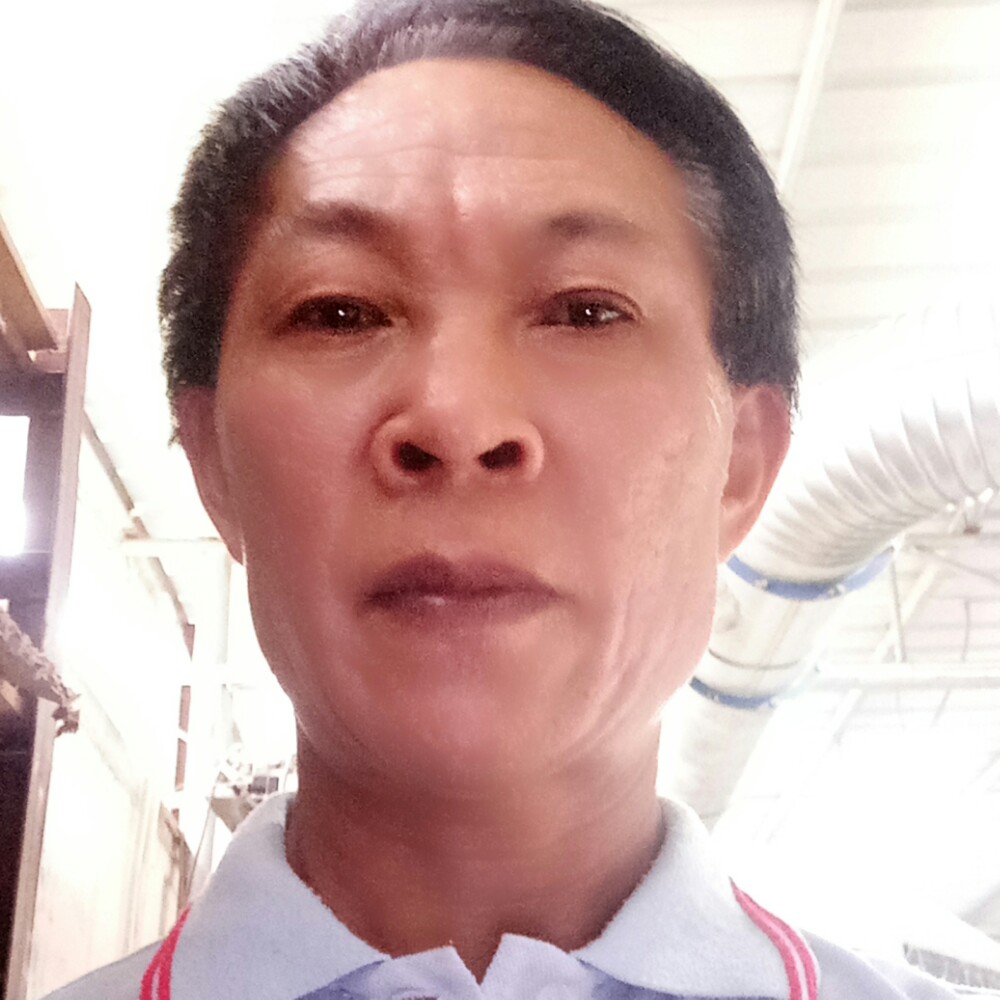 白猫相许迷离的照片