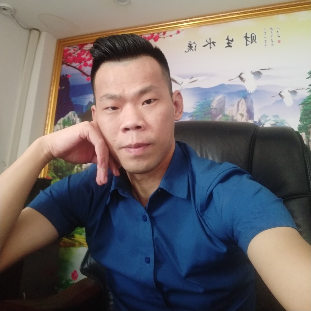 深圳的鹰的照片