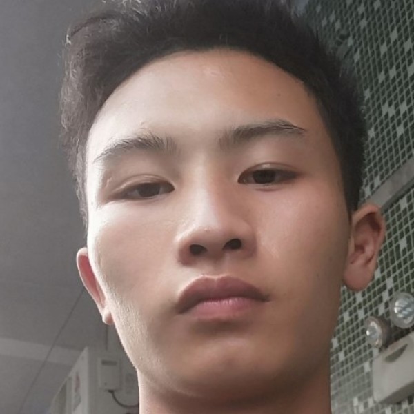 优秀漫步小鸭子的照片