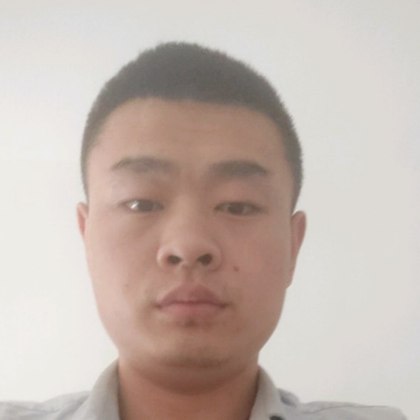 红玫瑰停止奋斗的照片