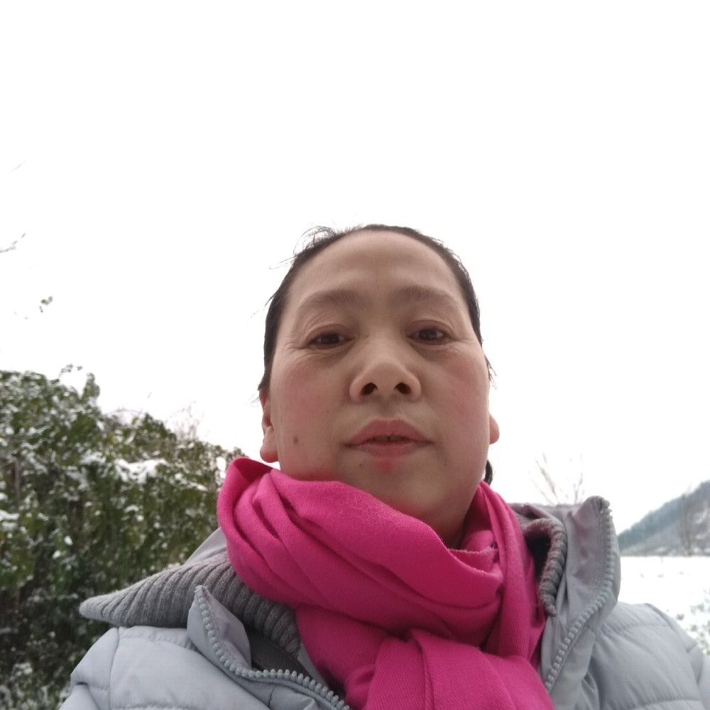 纯真母鸡的照片