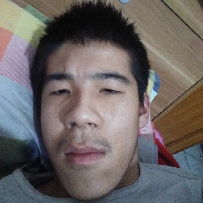 任性小天鹅的照片