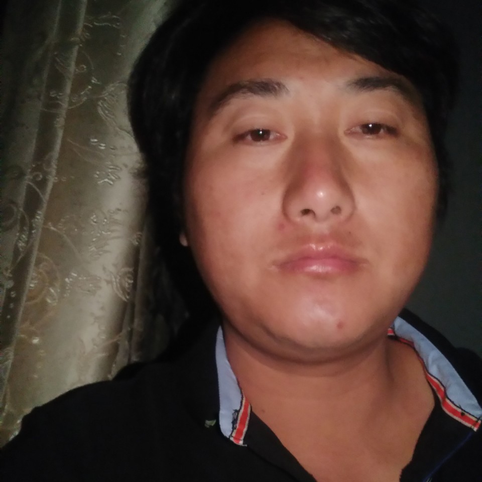 透彻深拥仙人掌的照片
