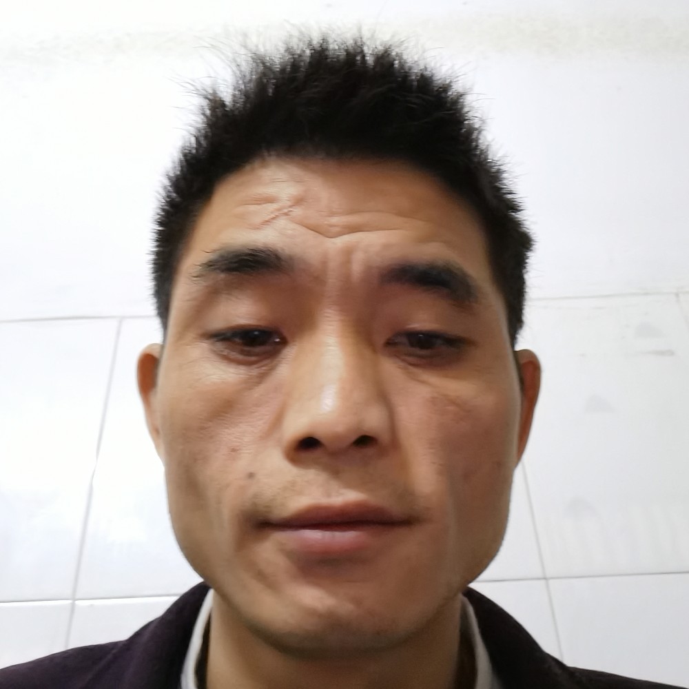 蝶舞懦弱的照片