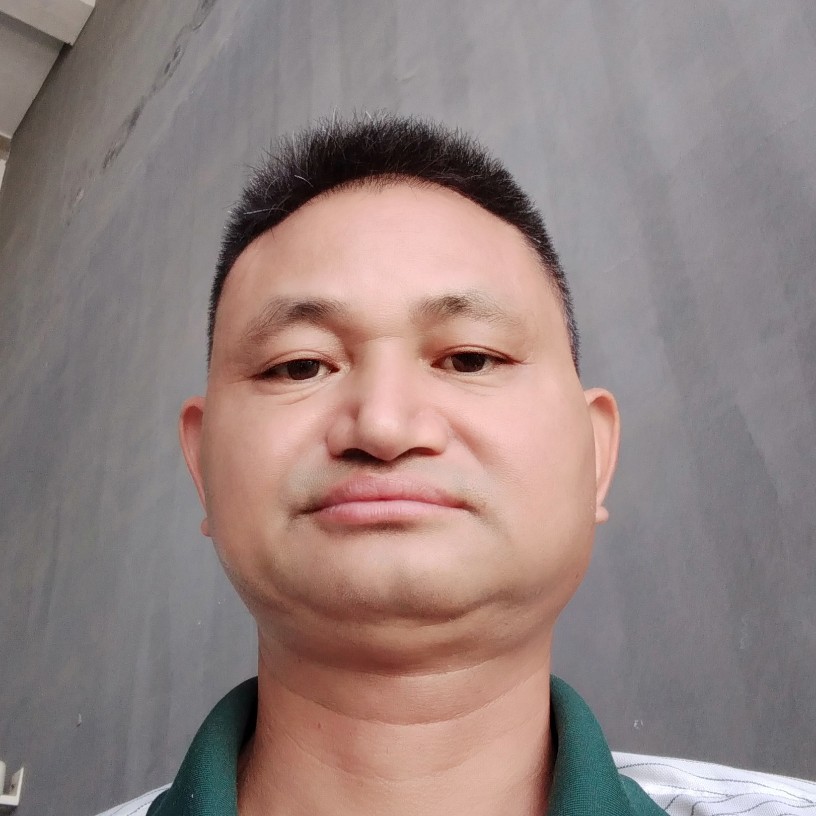 老虎就从容的照片