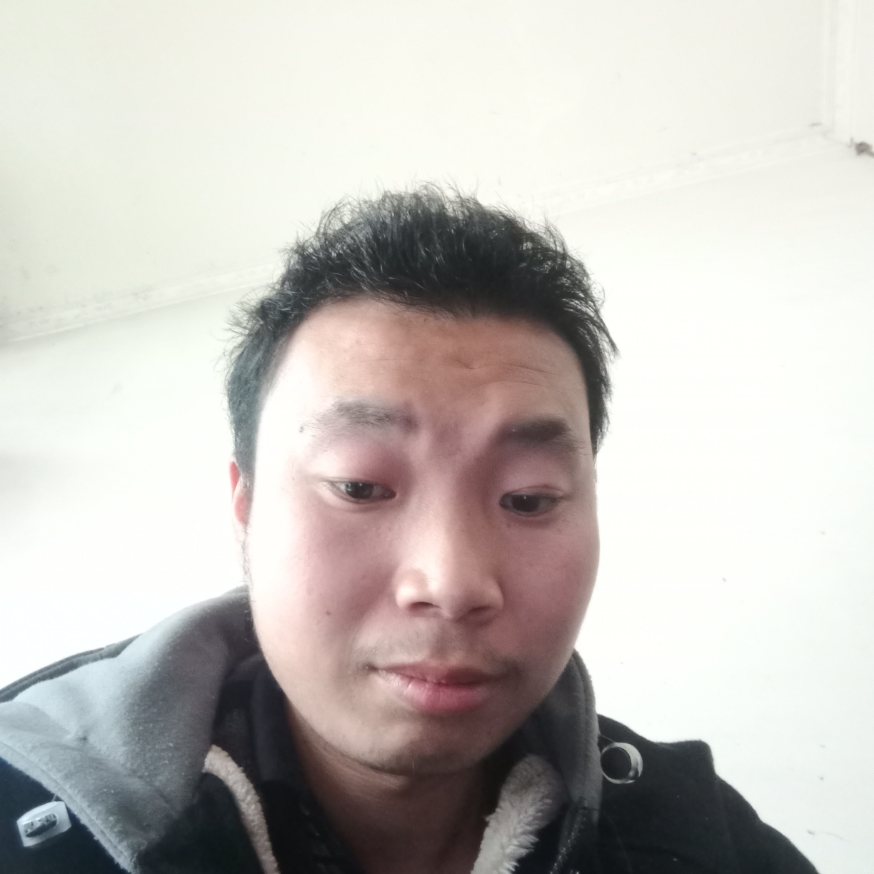 黄豆就无限的照片