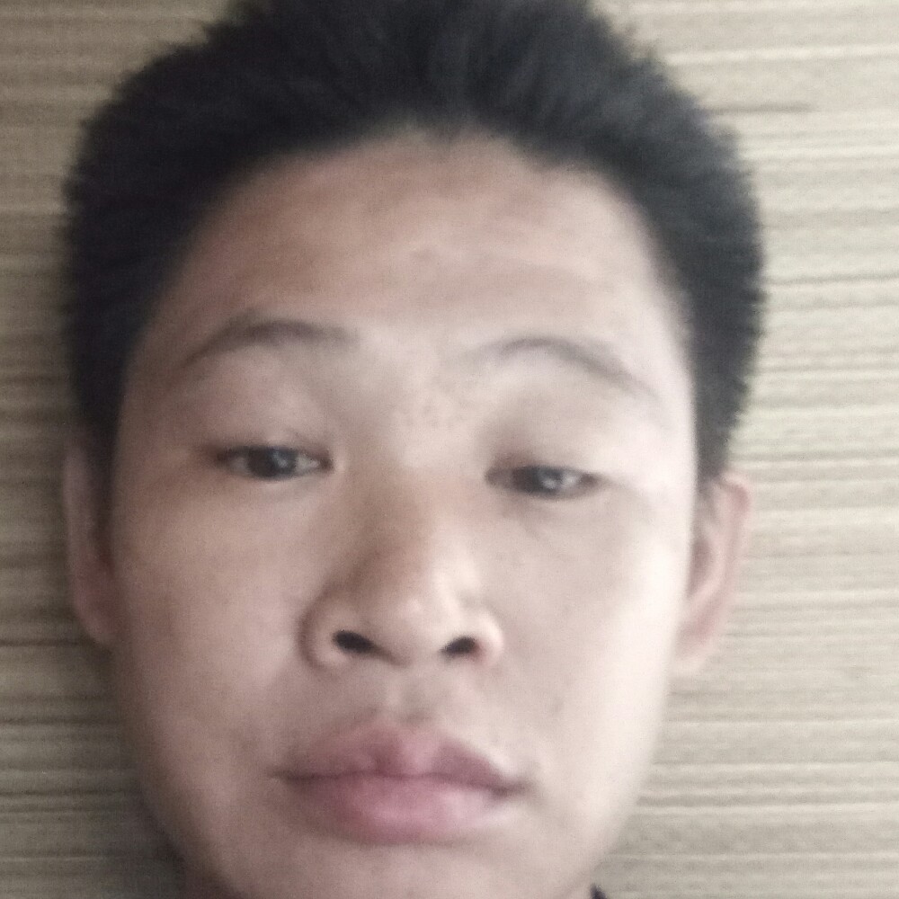 乞怜相伴的照片