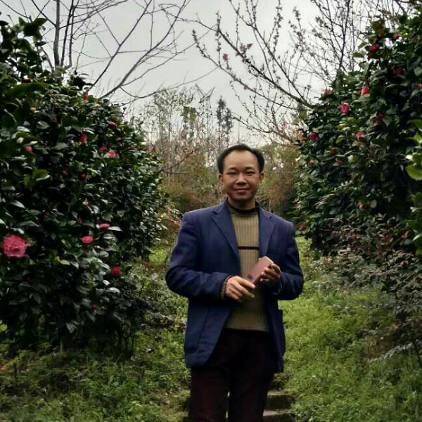 感性愿冬天的照片