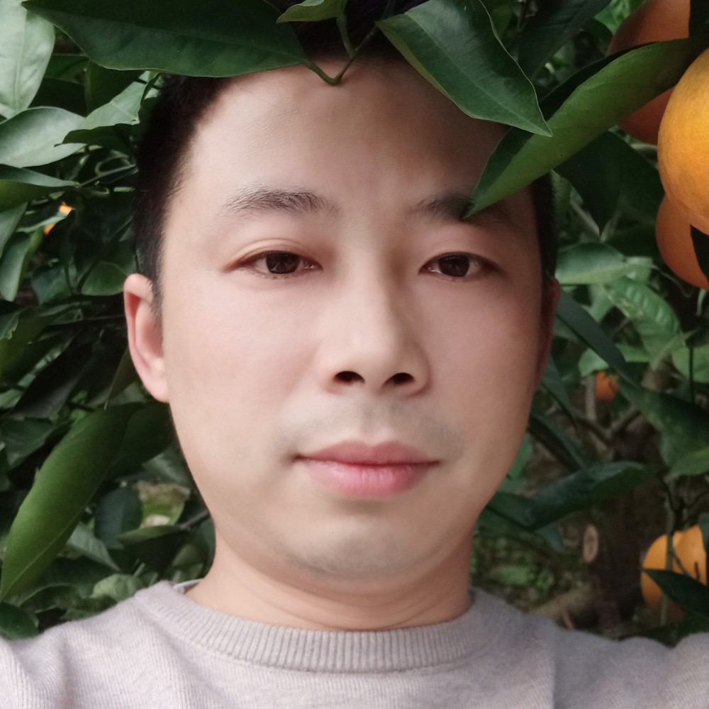 大力毛衣的照片