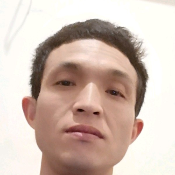 黑米蹁跹大气的照片