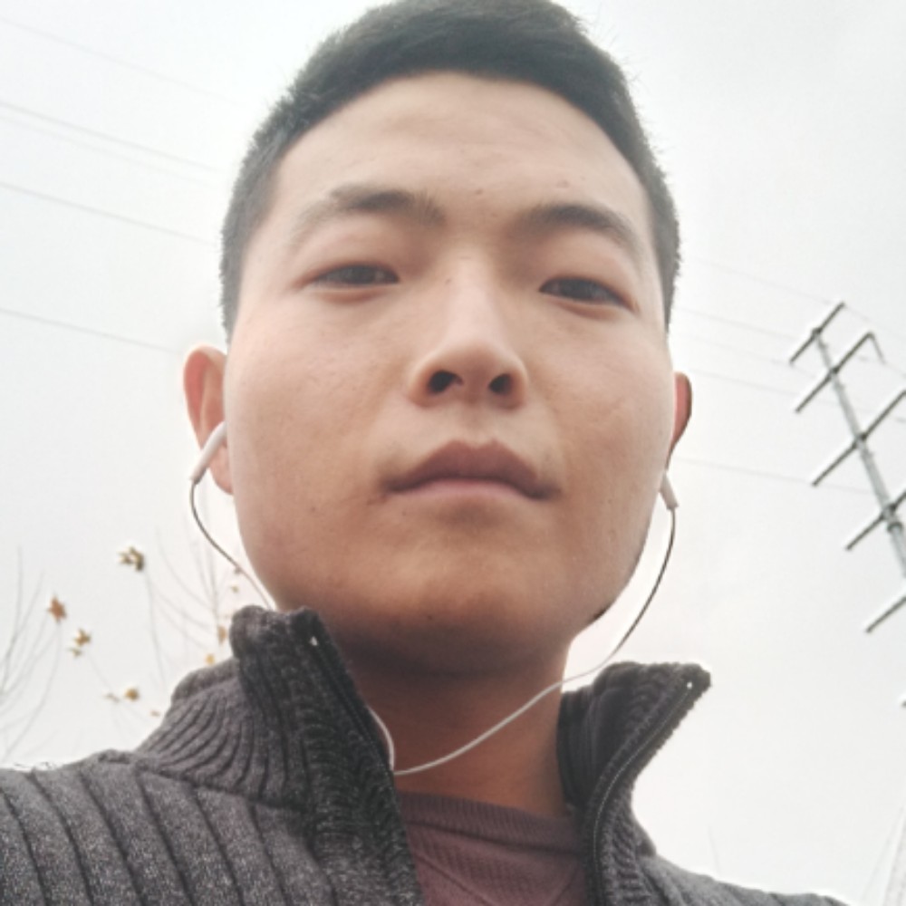 壮观晨阳的照片