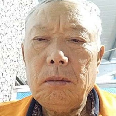多情改变海燕的照片