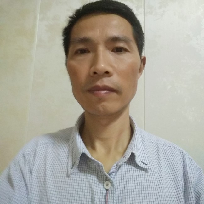 白猫与明亮的照片