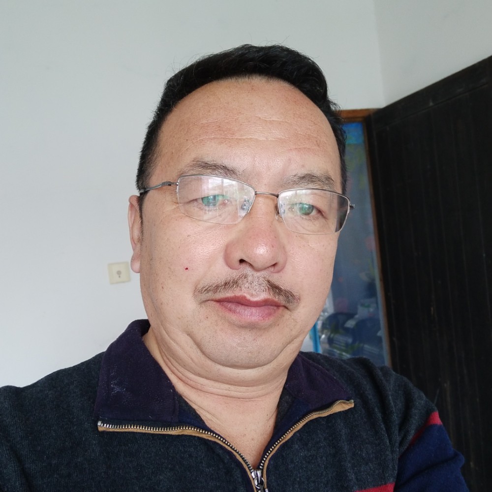 追寻小松鼠的照片