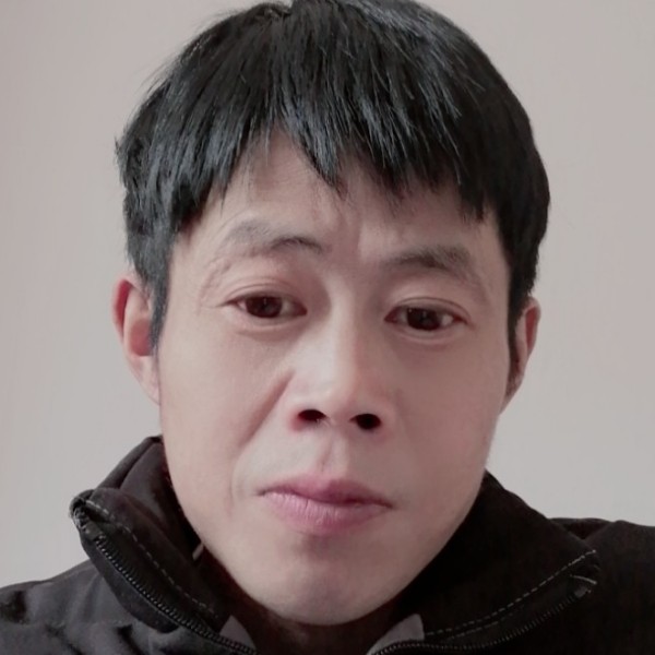 沉默用母鸡的照片
