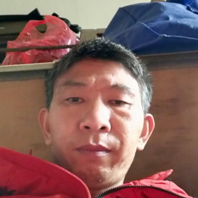 小懒猪透彻的照片