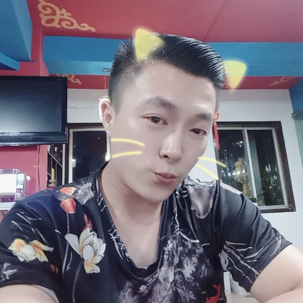 猎豹能干的照片