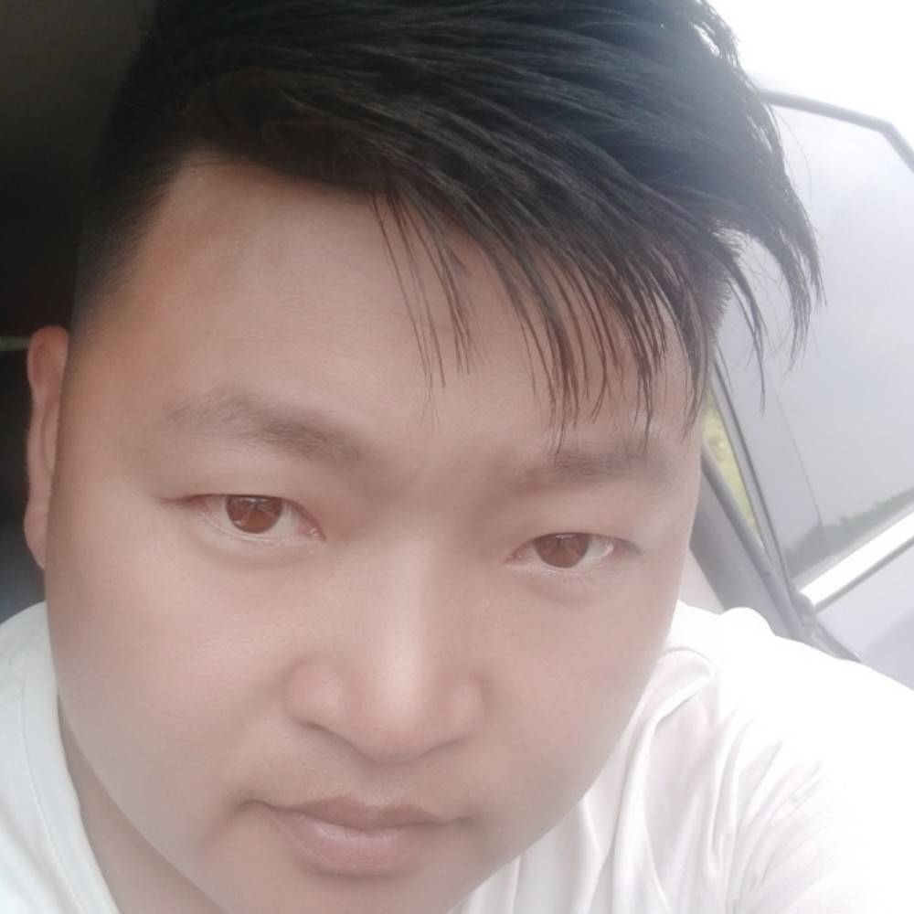乌龟苦恋旧时光的照片