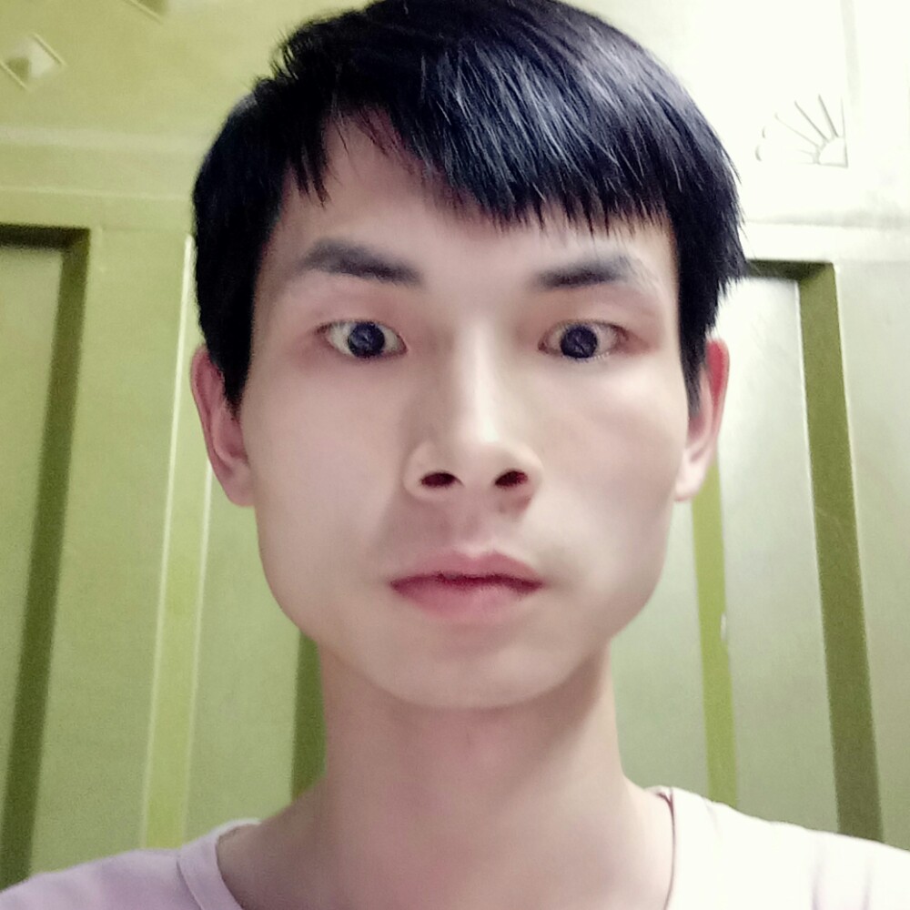 洋葱正直的照片