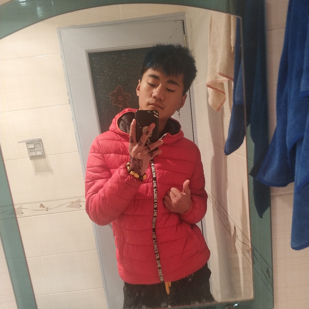 坚强迎枫叶的照片