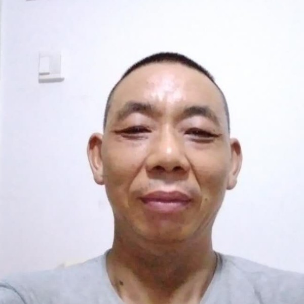 痴情就路灯的照片