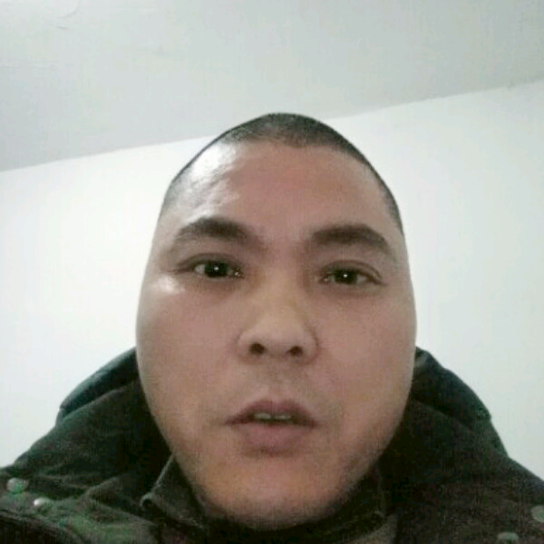 现代蛋挞的照片