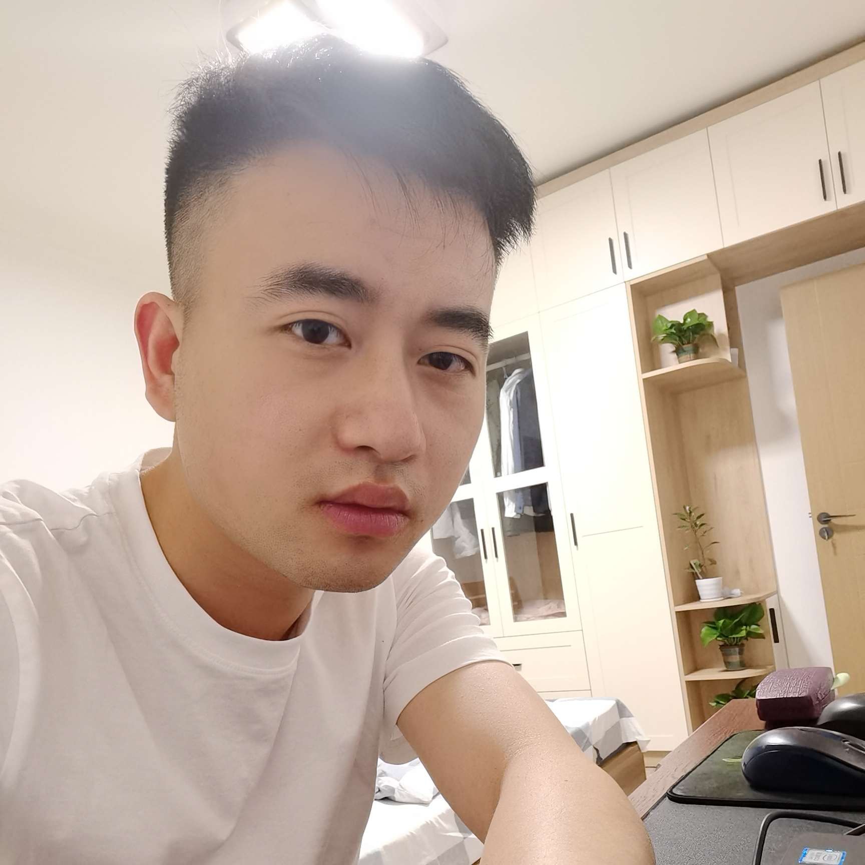 初见蜜蜂的照片