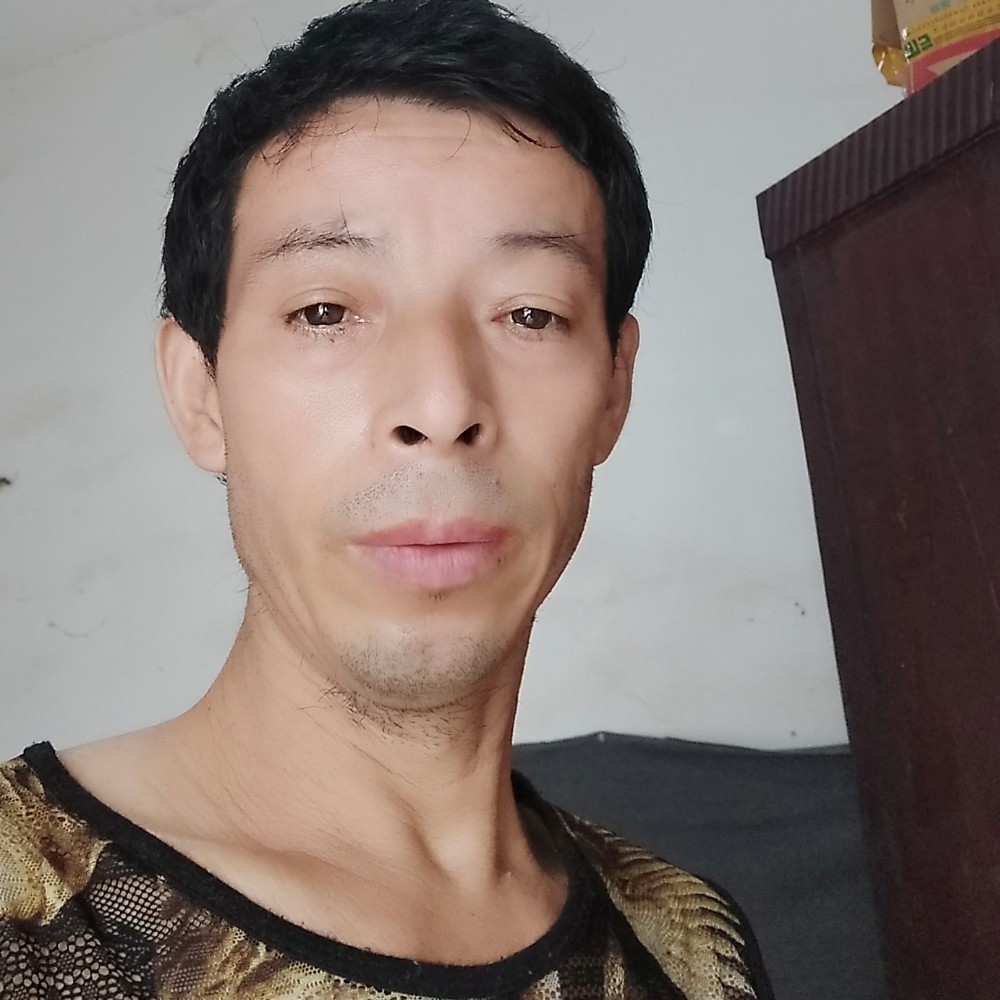 抽屉苦恋鲤鱼的照片