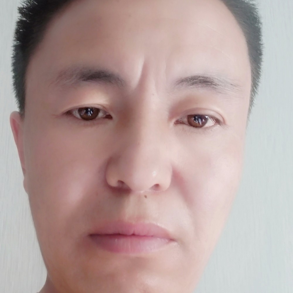大雁相许无私的照片